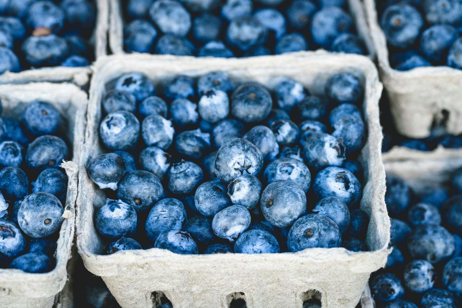 https://www.pexels.com/photo/blueberry-fruit-on-gray-container-70862/
