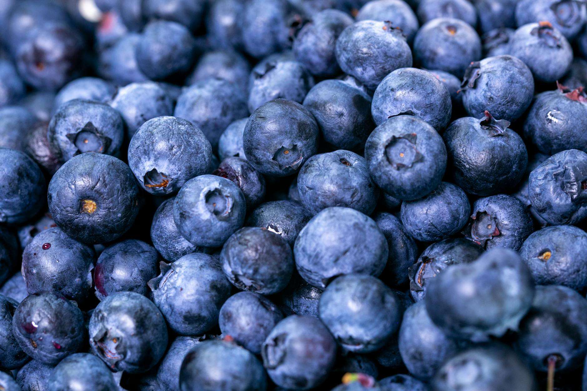 https://www.pexels.com/photo/close-up-photo-of-blueberries-2539170/