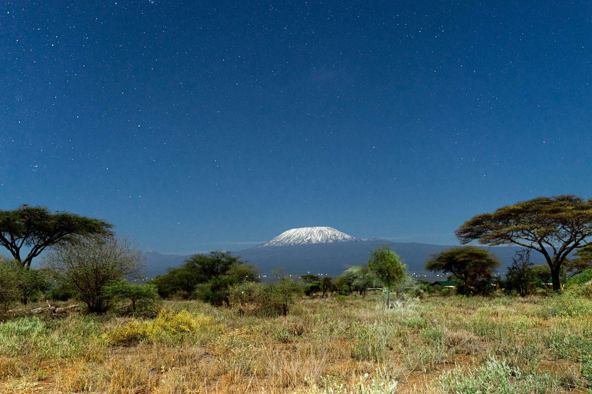 https://www.pexels.com/photo/starry-night-over-mount-kilimanjaro-from-kenya-29093739/