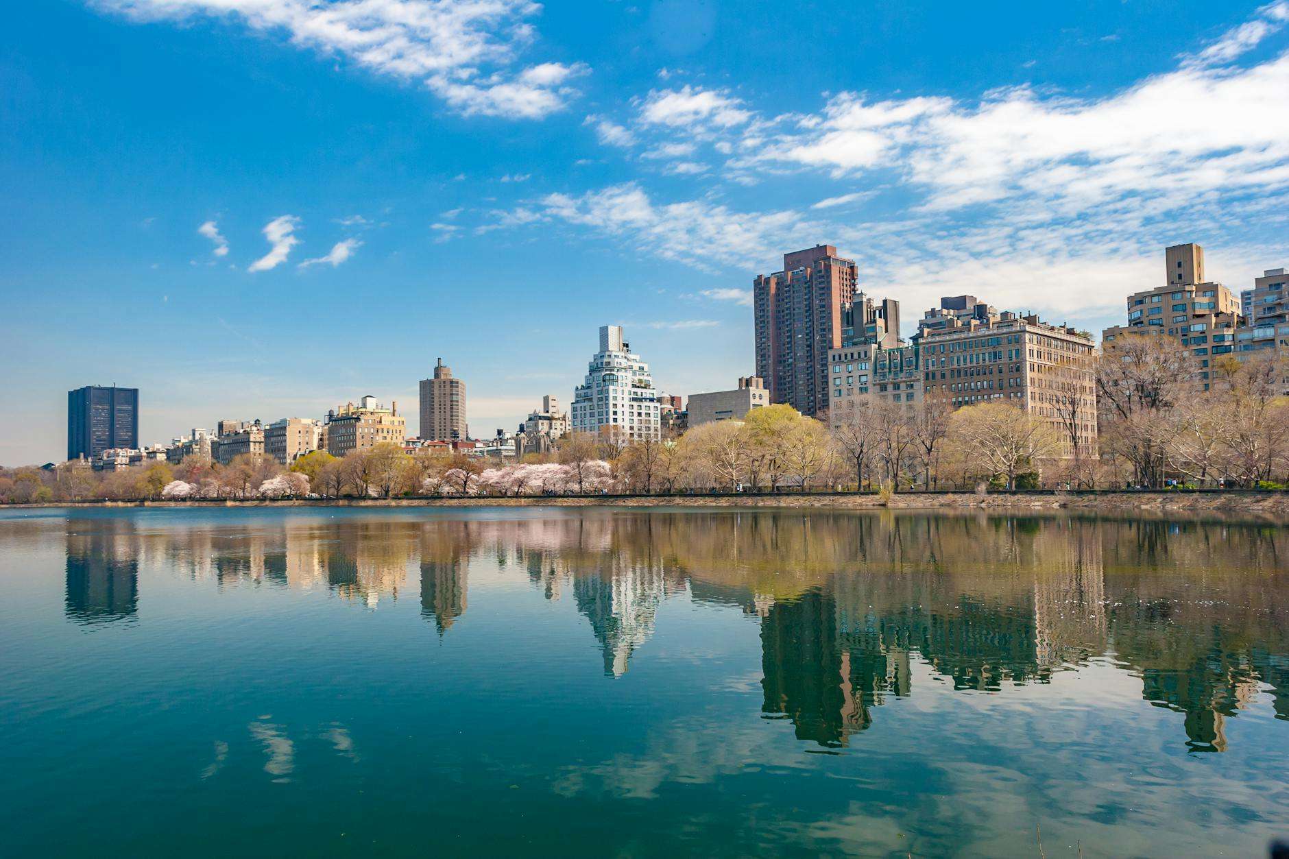 https://www.pexels.com/photo/cityscape-photo-286076/