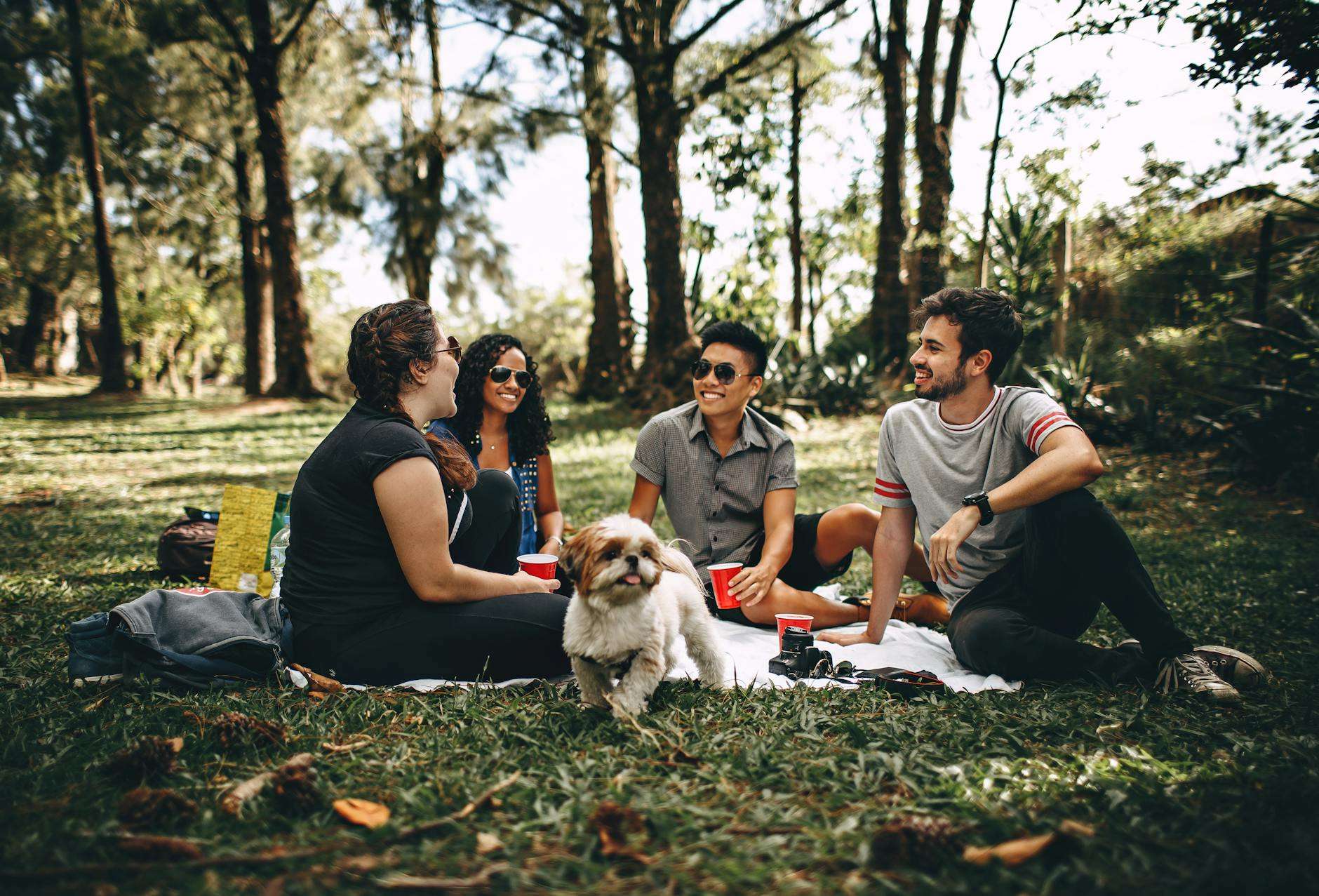 https://www.pexels.com/photo/group-of-people-sitting-on-white-mat-on-grass-field-745045/