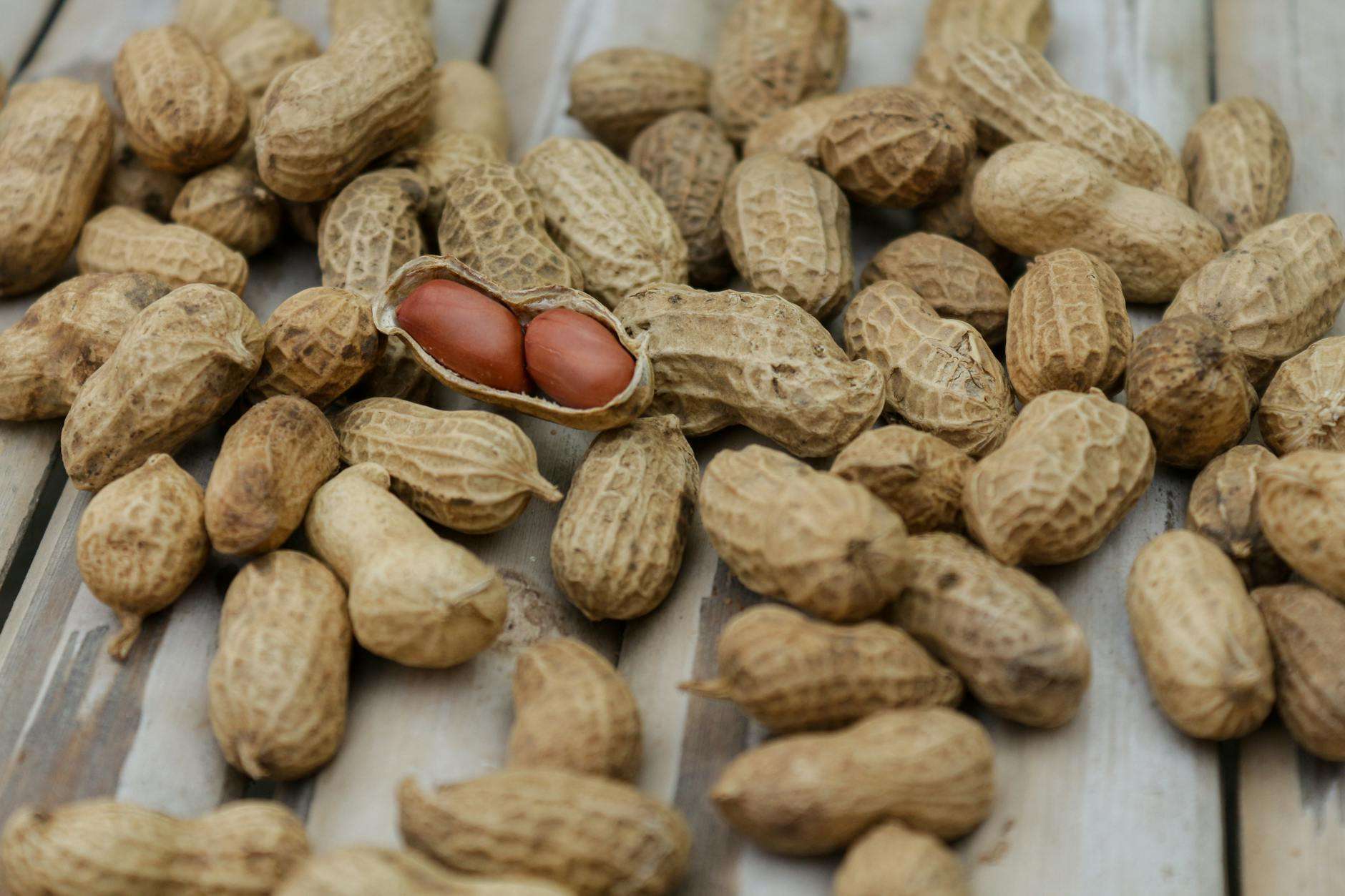 pinuts