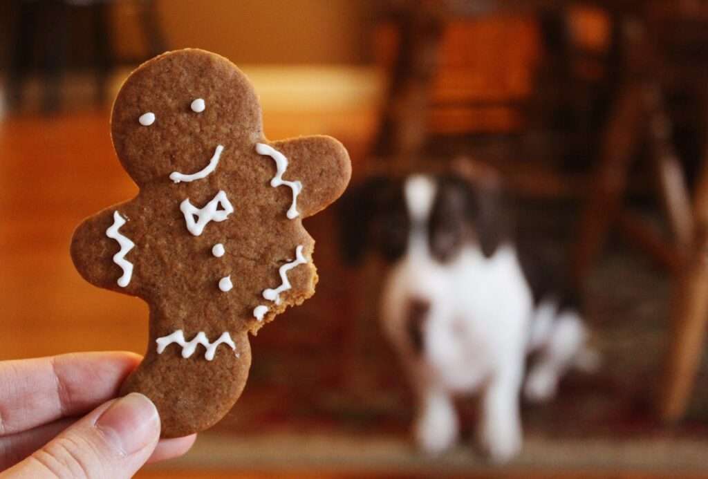 Lorax Cookie Recipe